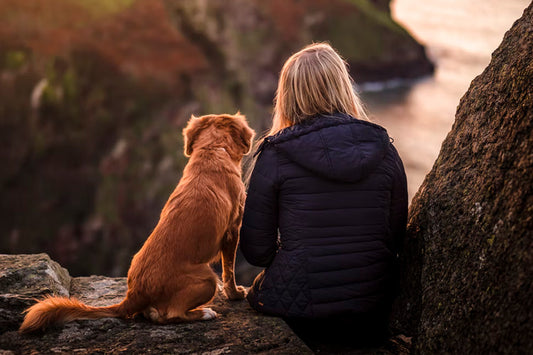 4 Tips for Training Your Puppy to Become a Therapy Dog