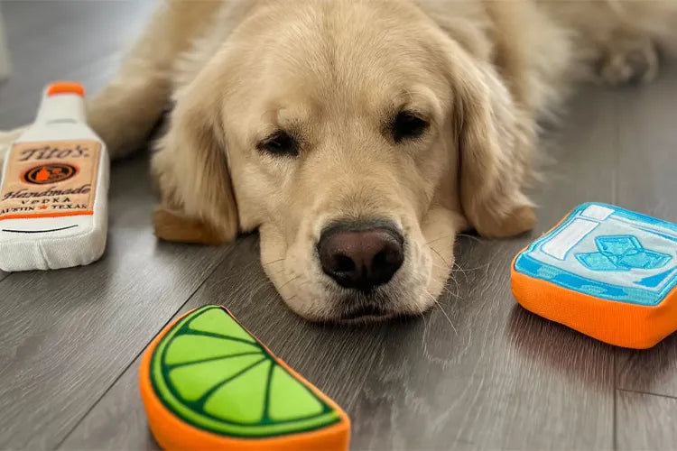 Unleash Your Brand: The Ultimate Guide to Custom Pet Products