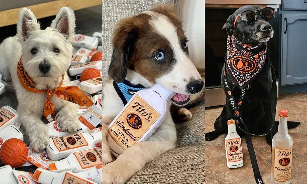 Custom Dog Accessories: The Secret to Happy Pups and Strong Brands
