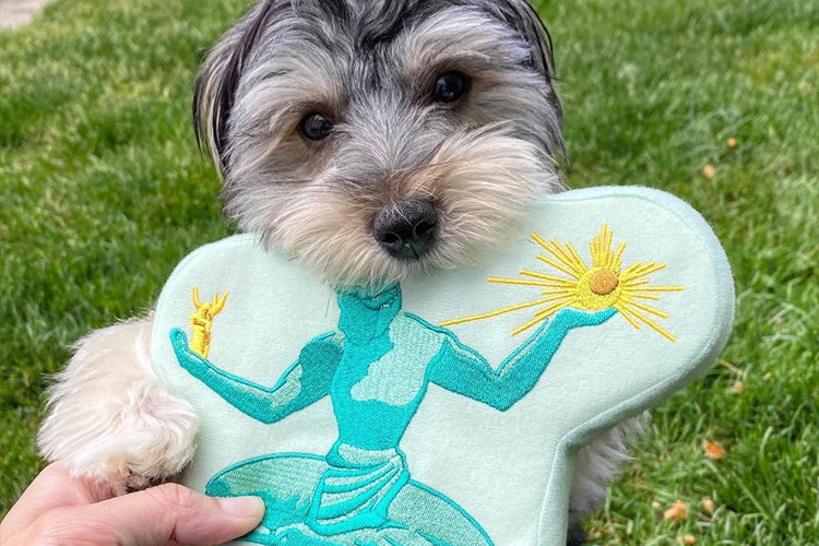 Spoil Your Dog With Personalized Pet Toys