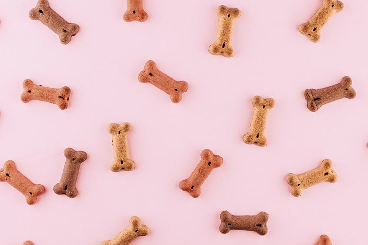 6 Safe Treats To Give Your Dog
