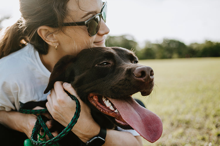 5 Lucrative Business Ideas for People Passionate About Pets