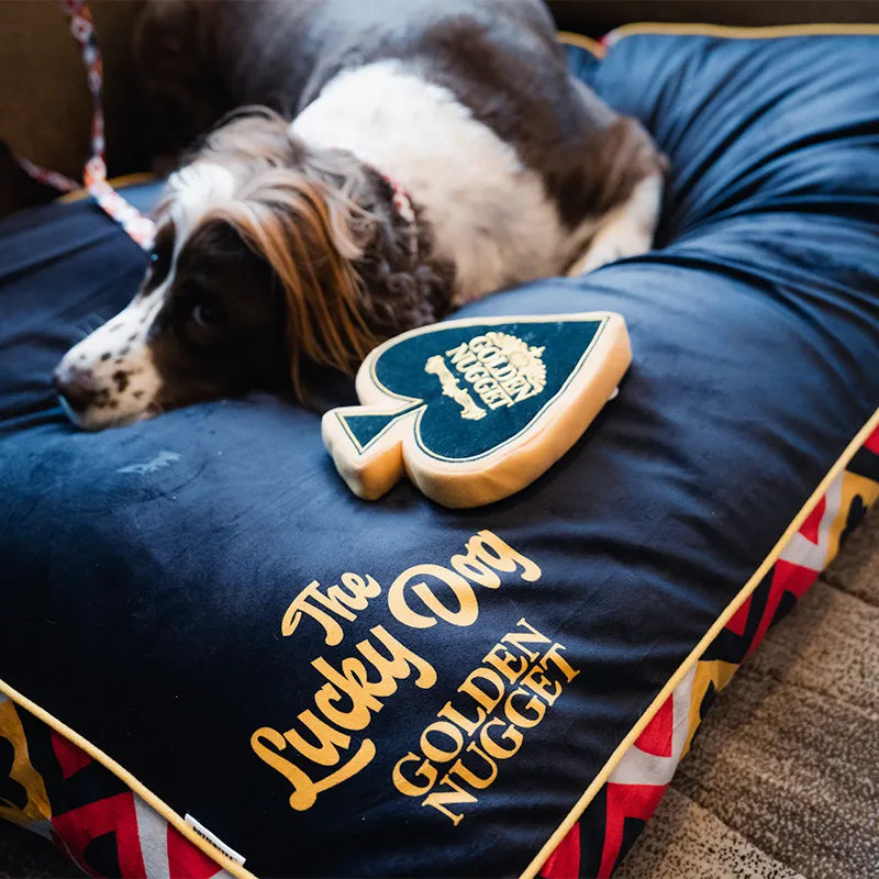 Customizable Dog Beds: Sit. Stay. Snooze.