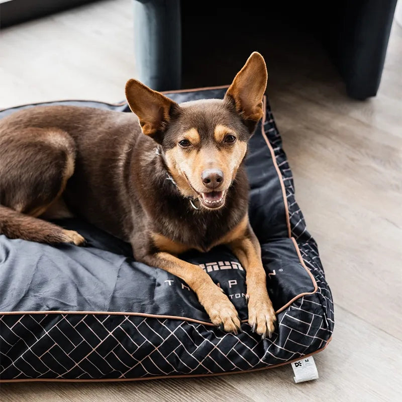 Customizable Dog Beds: Sit. Stay. Snooze.