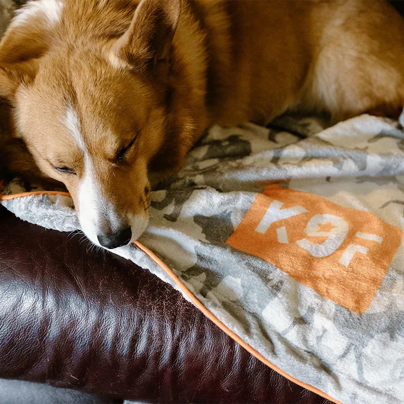 Canine Cuddlers: Customizable Dog Blankets