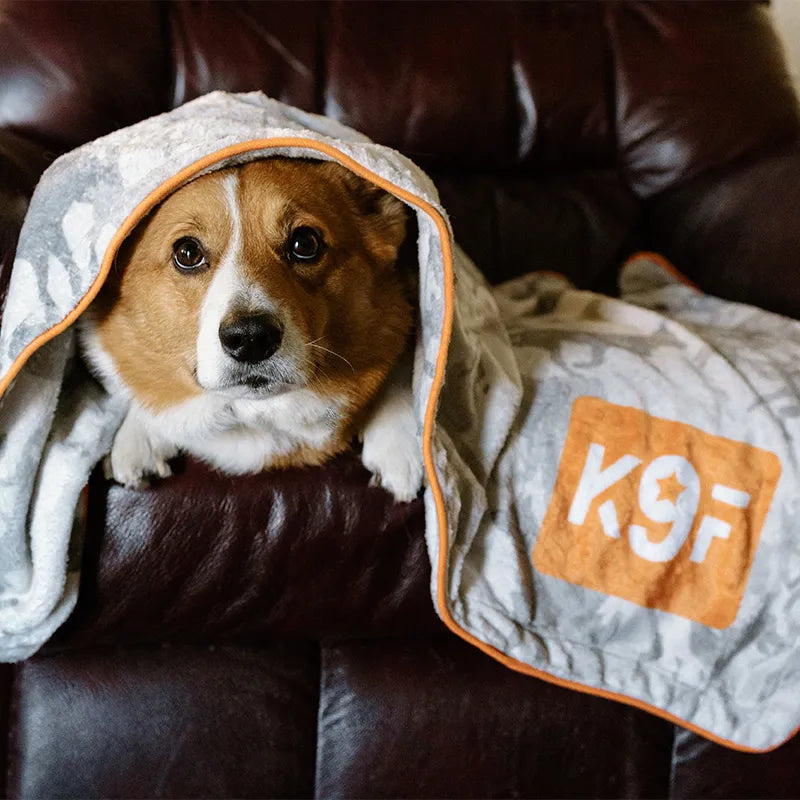 Canine Cuddlers: Customizable Dog Blankets