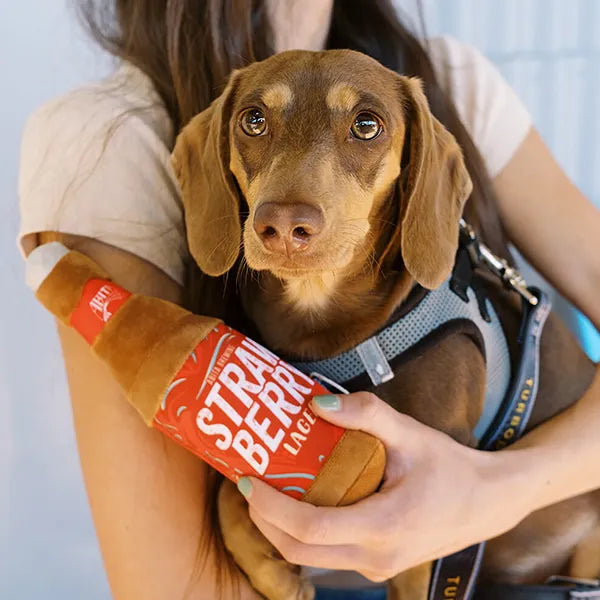 Beer Bottle Dog Toy: The New Yappy Hour