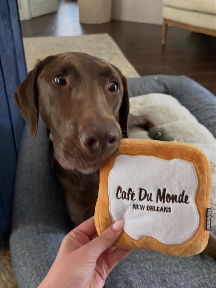 Cafe Du Monde 6