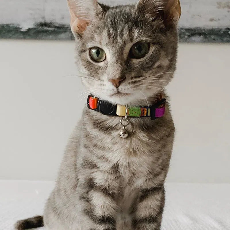 The Purrfect Accessory: Customizable Cat Collars