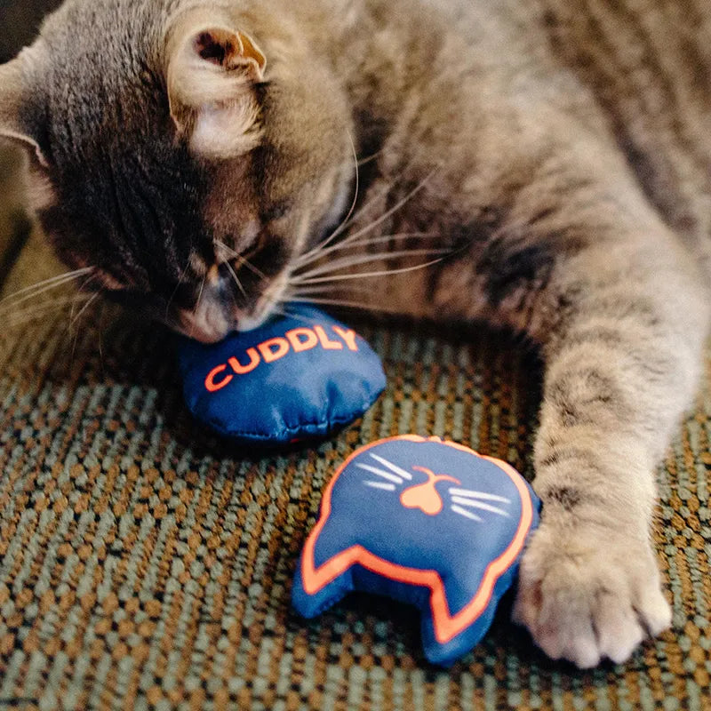 Customizable Catnip Toys: You've Got To Be Kitten Me