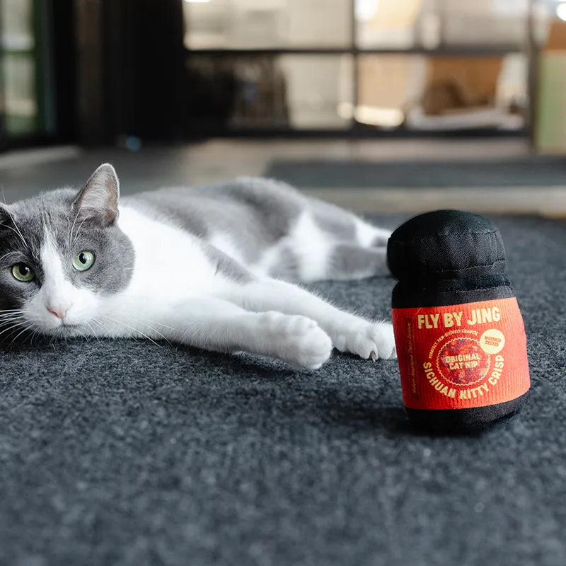 Customizable Plush Catnip Toys