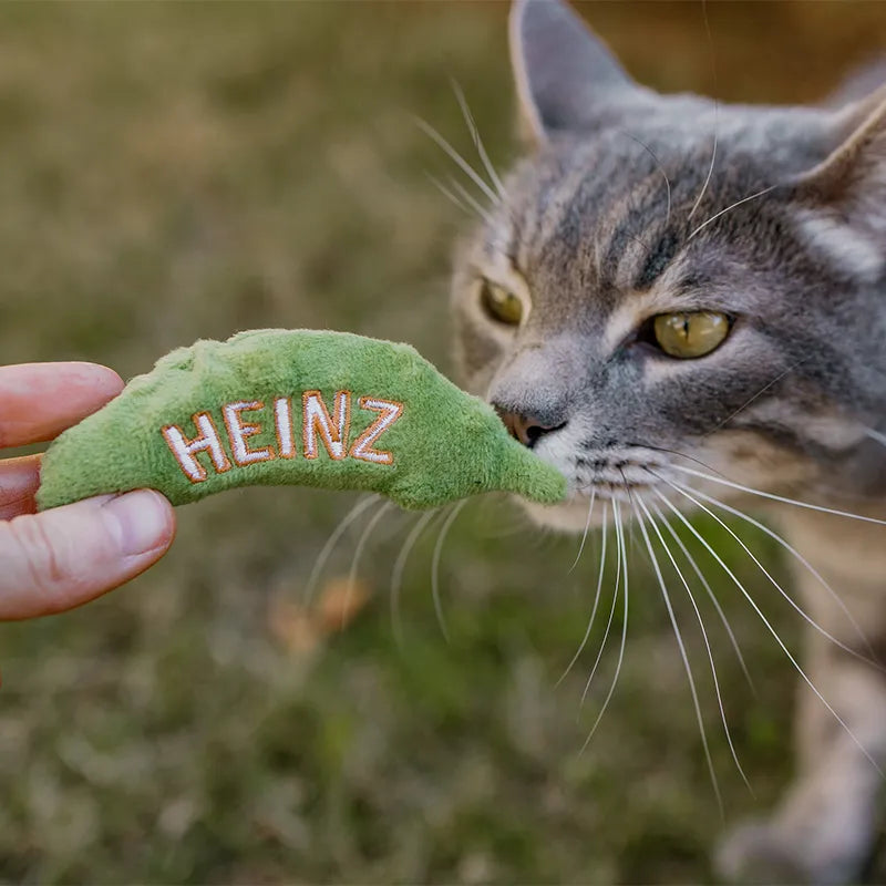 Customizable Plush Catnip Toys