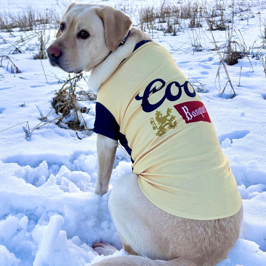 Customizable Dog T-Shirts: Your Pup To A "Tee"