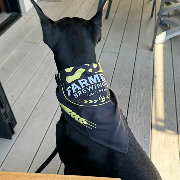Farmers Brewing Co. 7