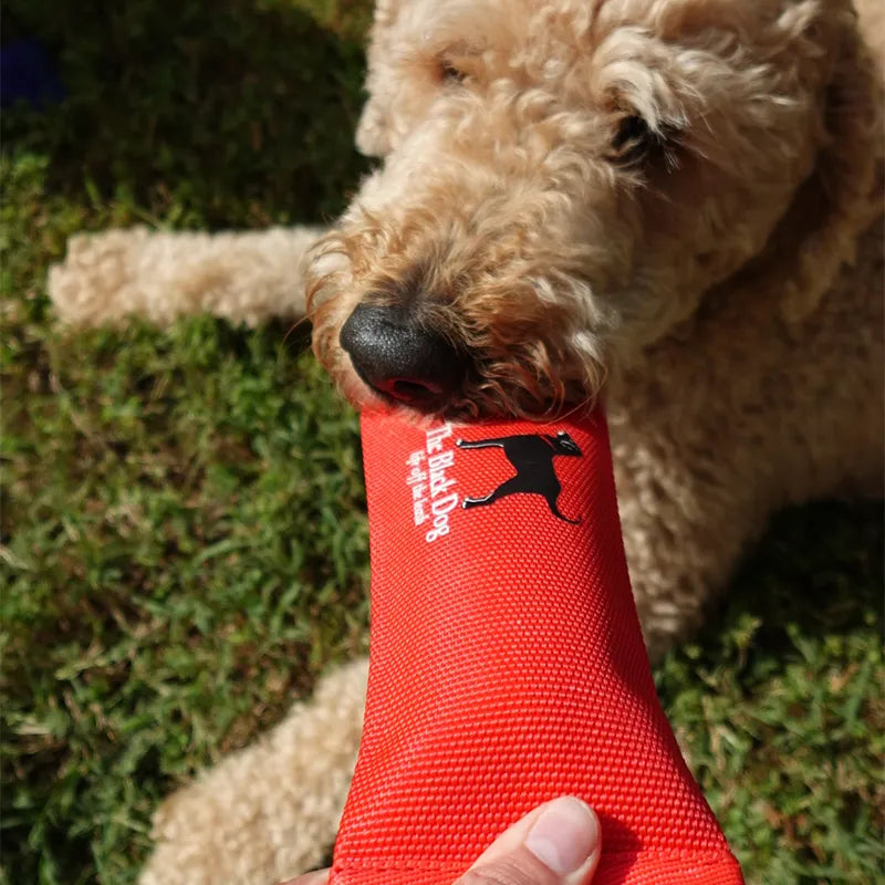 Firehose Fetch Toy