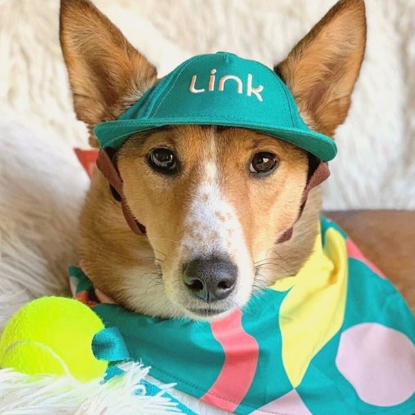 The Official Canine Cap