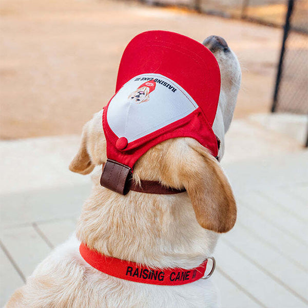 The Official Canine Cap