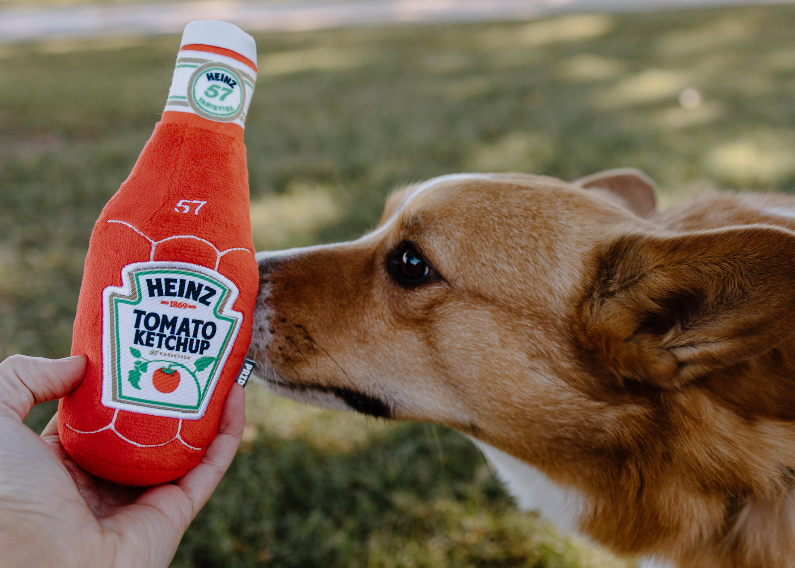 Heinz 3