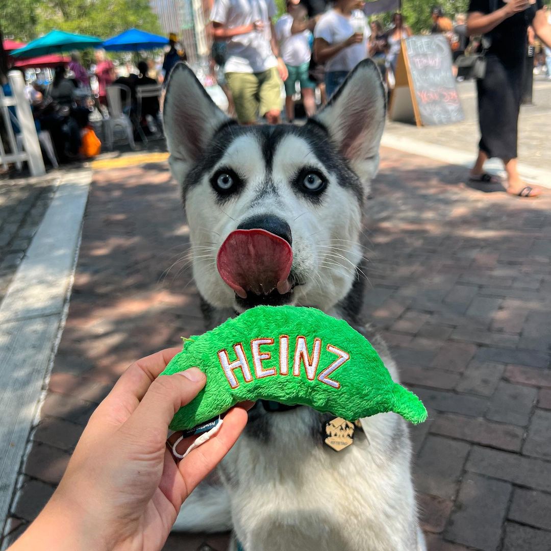 Heinz 6