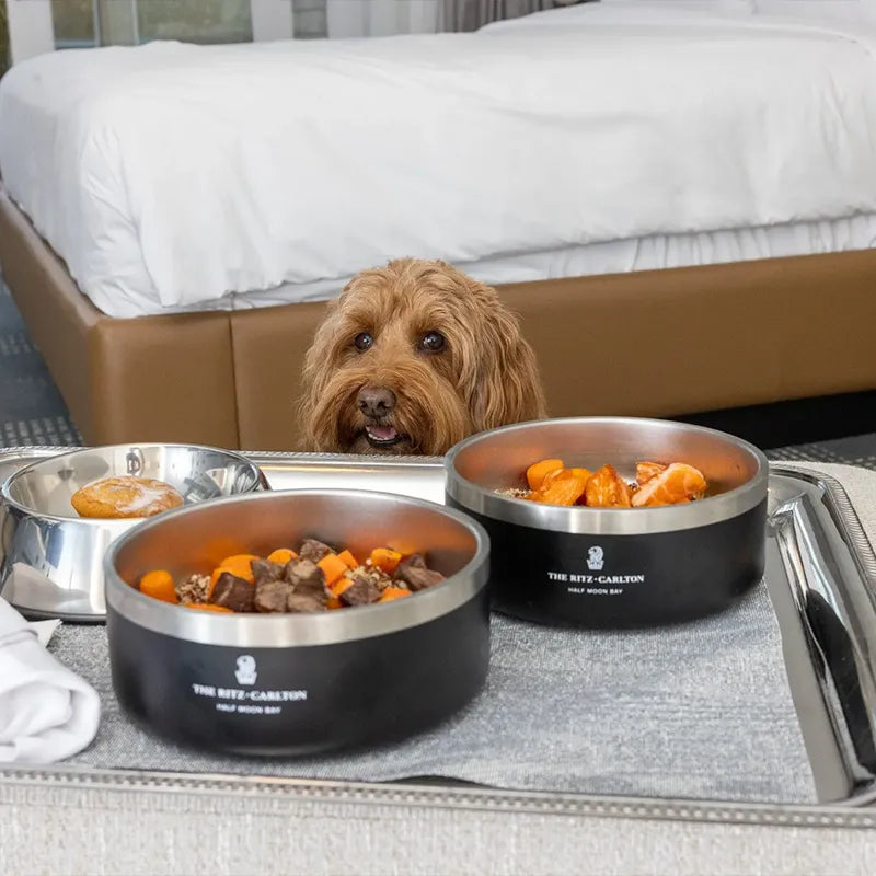 Insulated Stainless Steel Bowl