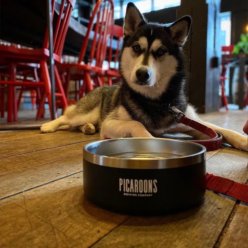 Insulated Stainless Steel Bowl