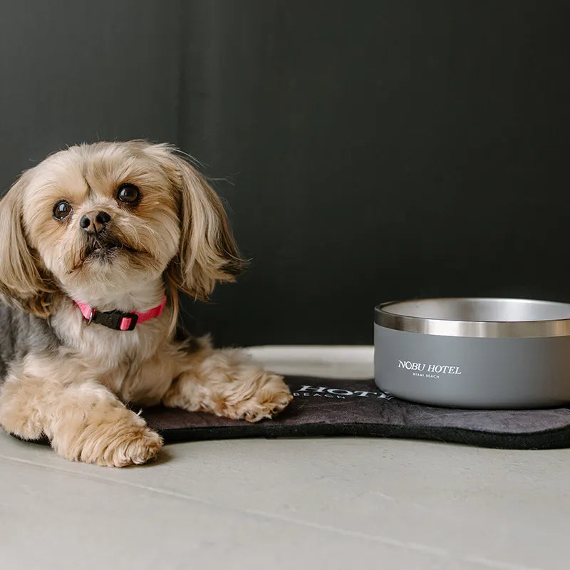 Insulated Stainless Steel Bowl