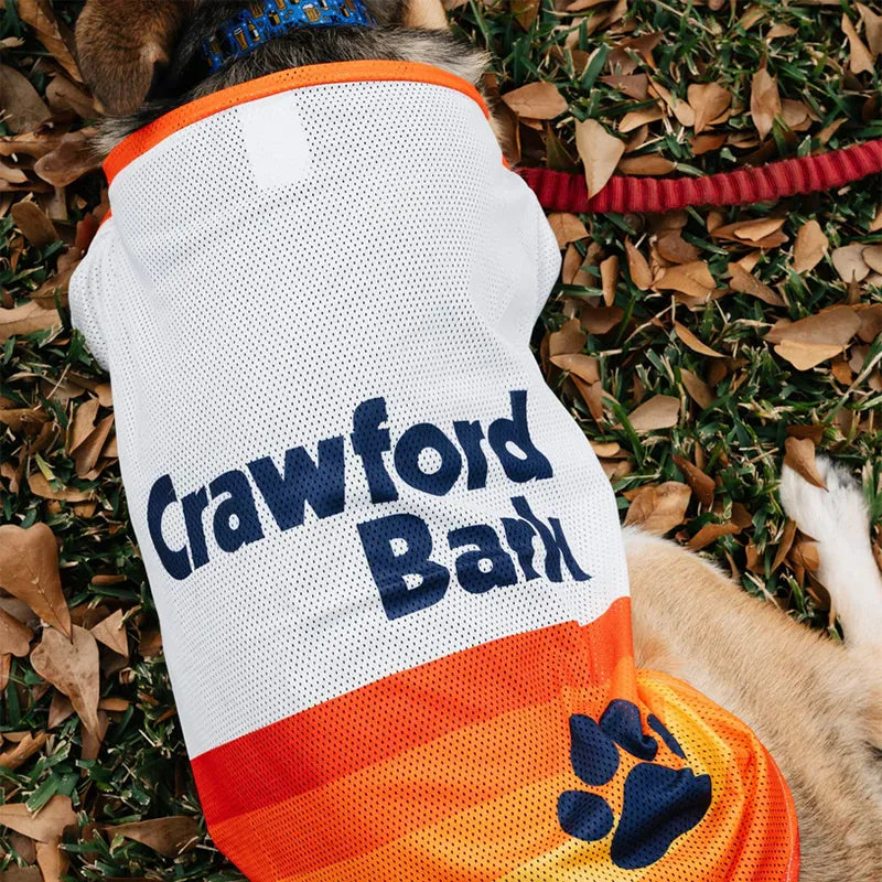 Dog Jerseys for the Sporty K9