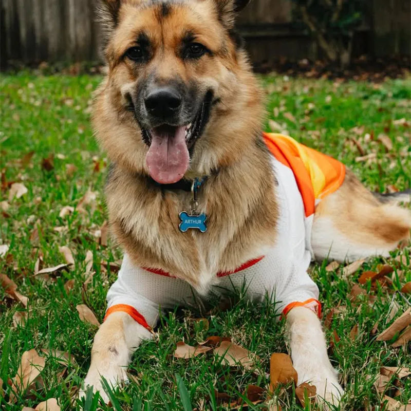 Dog Jerseys for the Sporty K9