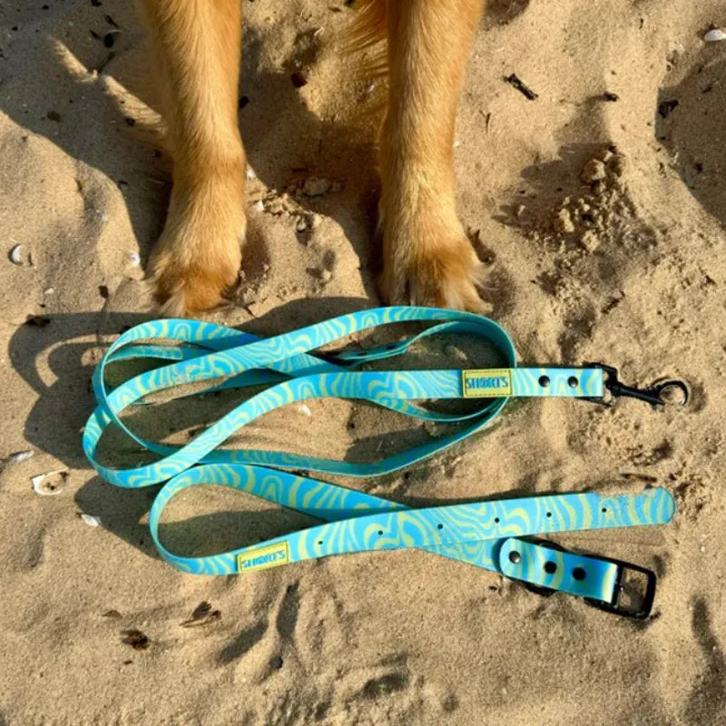 Weatherproof Dog Leashes