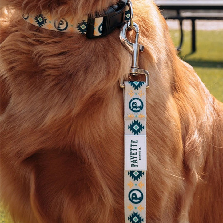 With Logo Customized Dog Leashes Comfortable Personalized Dog