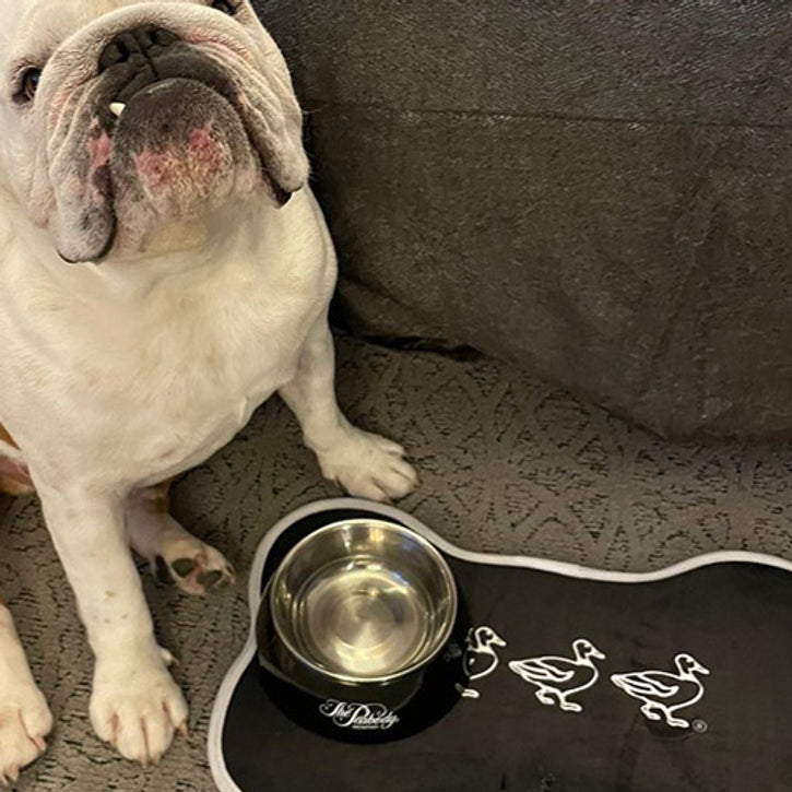 Dog Placemats For When The Kibble Dribbles