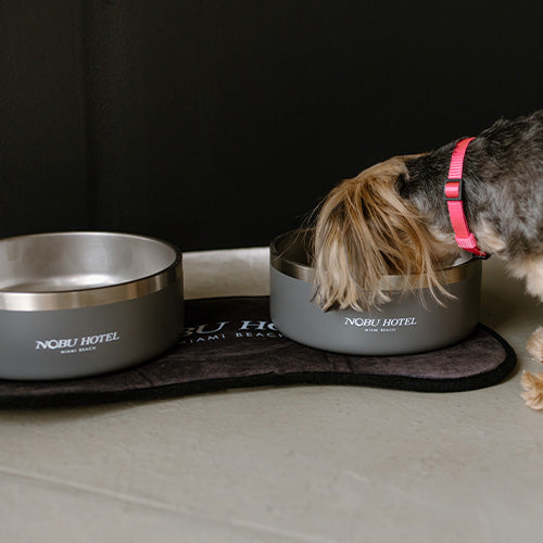 Dog Placemats For When The Kibble Dribbles