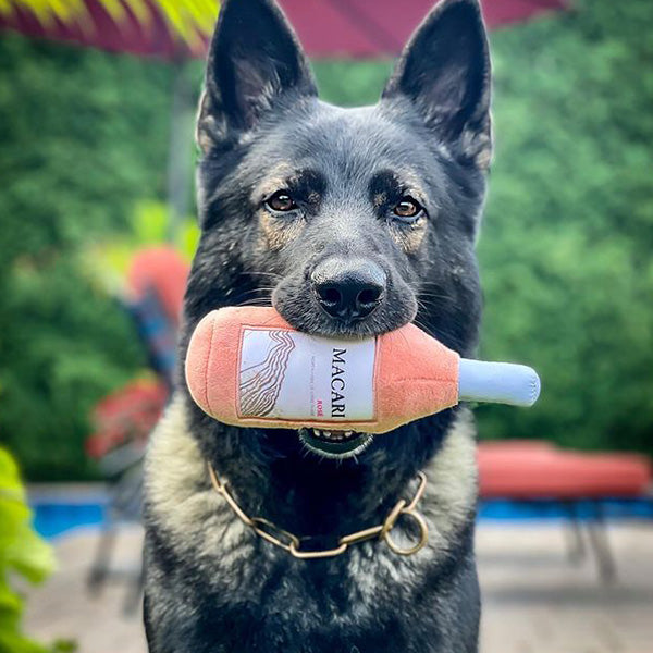 Wine Bottle Dog Toys | Plush Dog Toy for Pets | PrideBites Wine Bottle Dog Toys | Plush Dog Toy for Pets | PrideBites