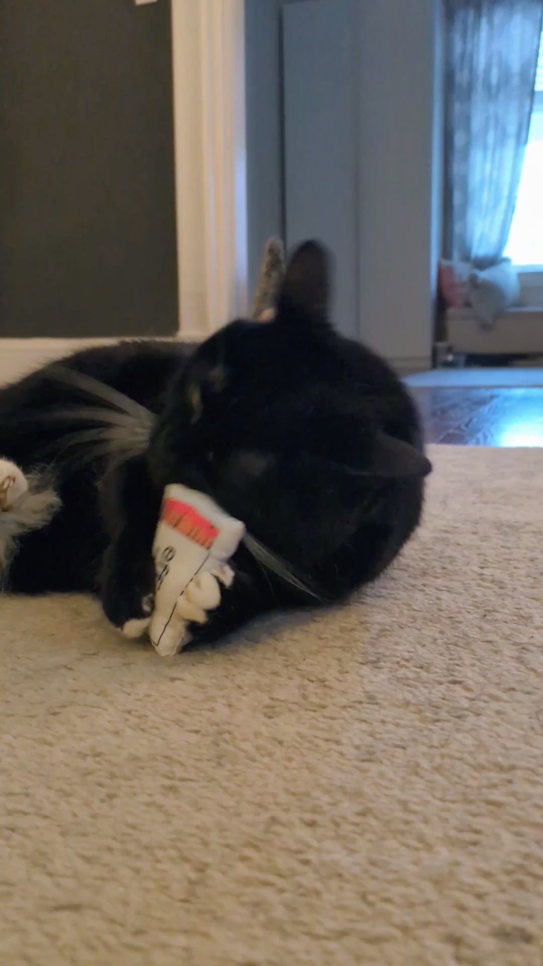 Customizable Plush Catnip Toys