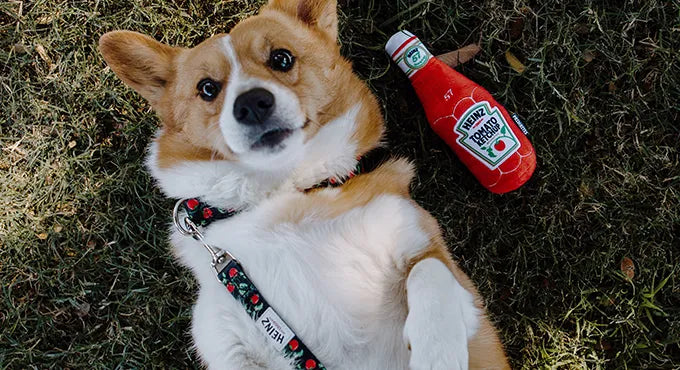 PrideBites for Heinz