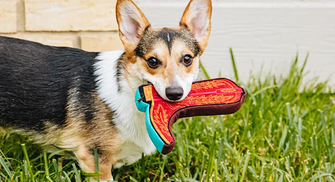 PrideBites for Lane Boots