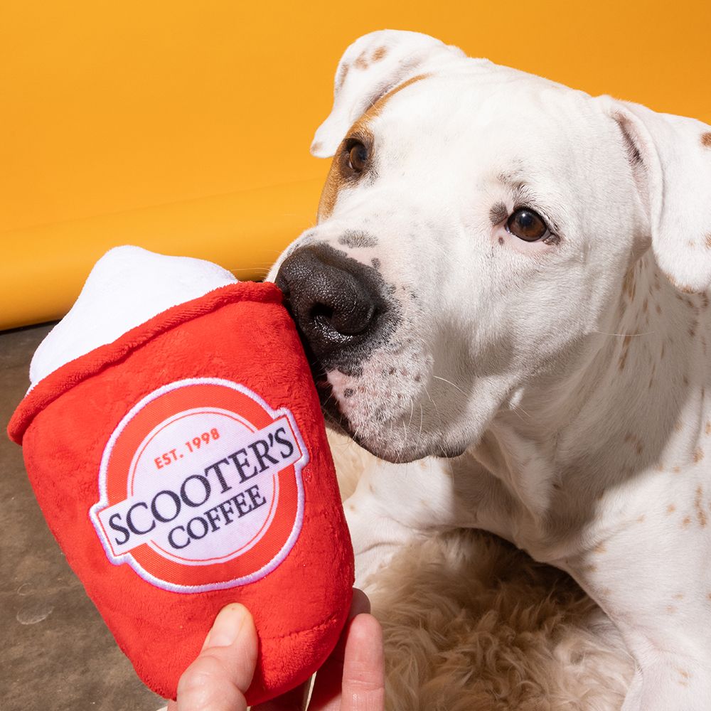 Scooter's Coffee 1