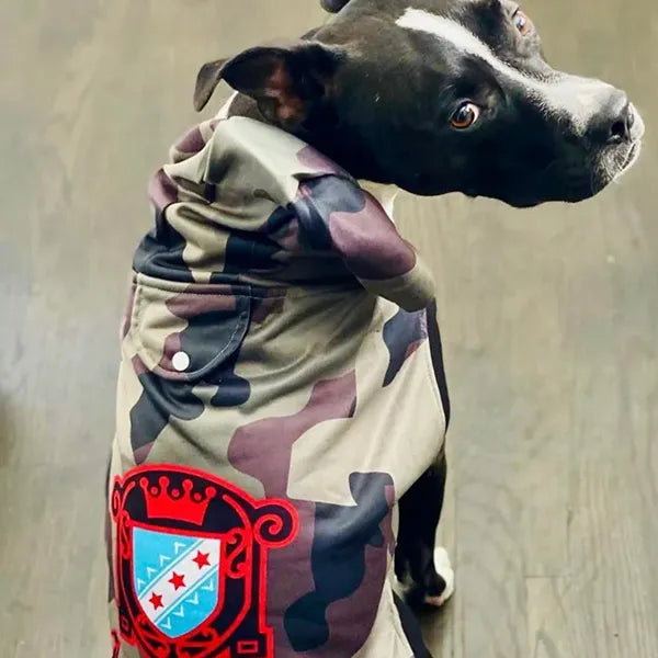 Customizable Dog Hoodies For The Posh Pet