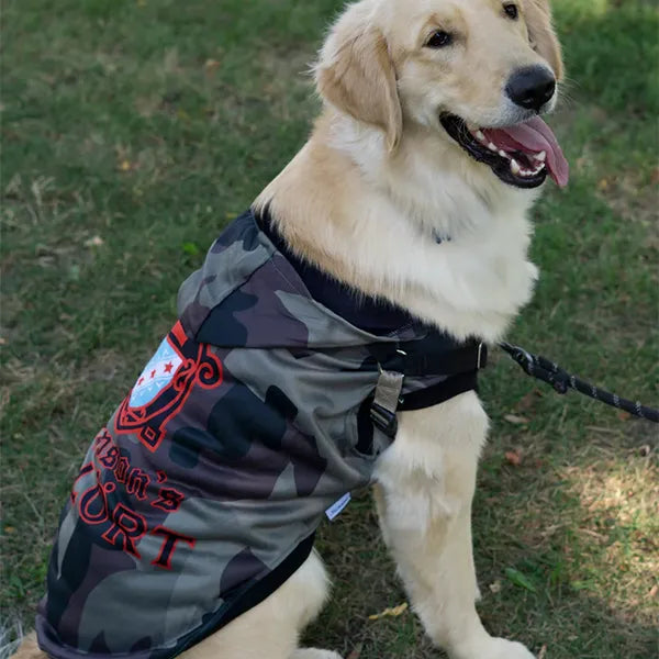 Customizable Dog Hoodies For The Posh Pet