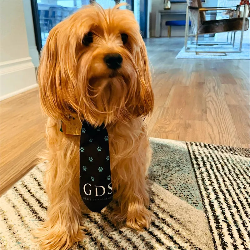 Custom Branded Dog Ties for Business Bound Hounds