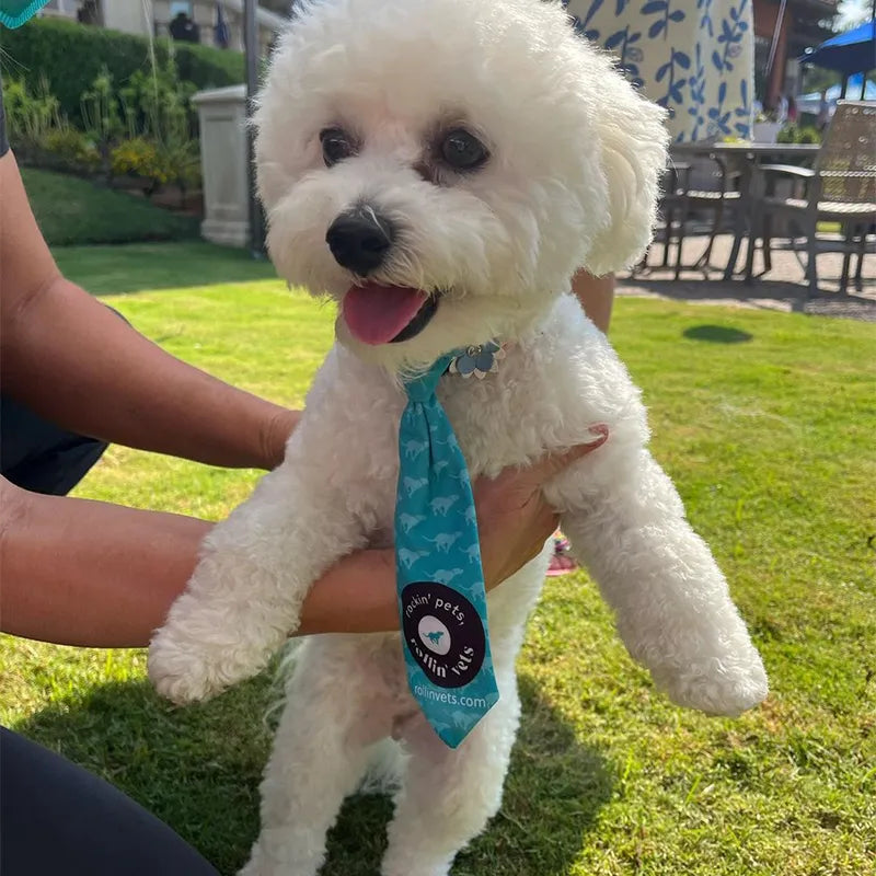 Custom Branded Dog Ties for Business Bound Hounds