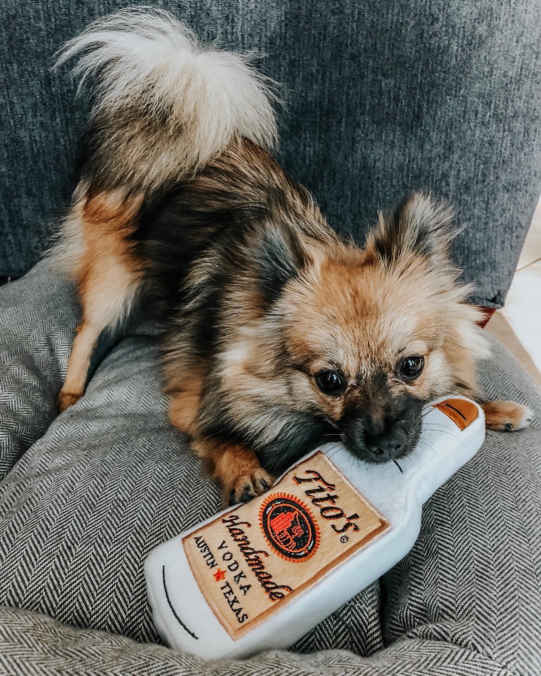 Tito's Handmade Vodka 7
