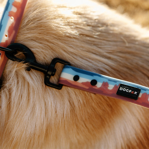 Custom Dog Leashes (Wholesale) PrideBites