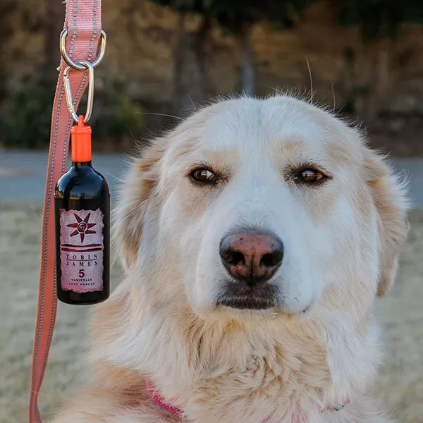 Winery-Themed Poop Bag Holder