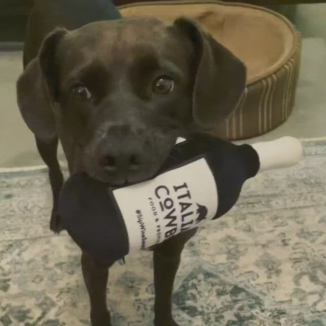 Bottle Dog Toys: Wine Not?