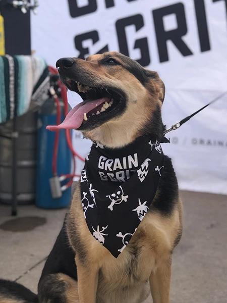 The K9 Kerchief: Customizable Branded Dog Bandanas