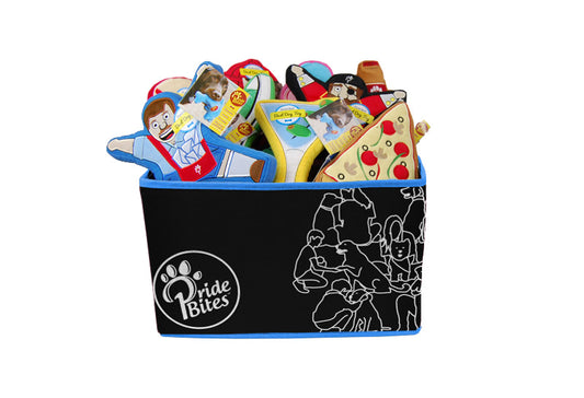 Dog Toy Baskets to Keep Your Home "Spot"-less