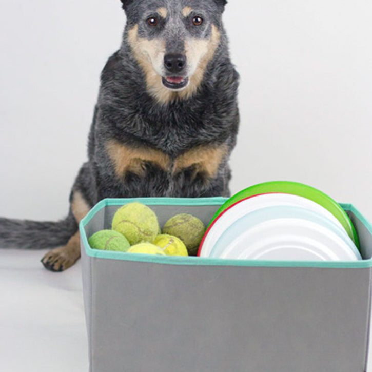 Dog Toy Baskets to Keep Your Home "Spot"-less