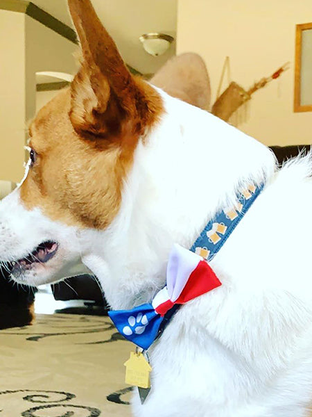 Dapper Dogware: Branded Dog Ties