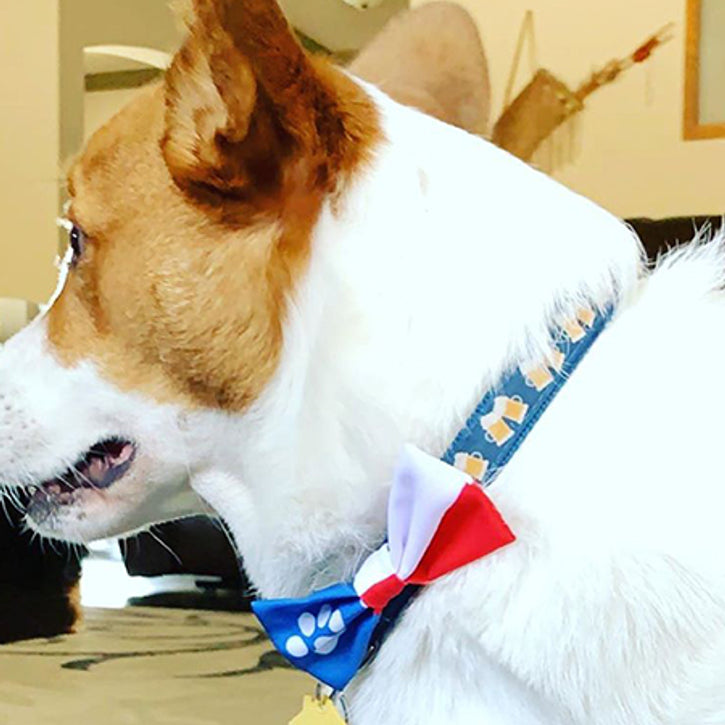 Dapper Dogware: Branded Dog Ties